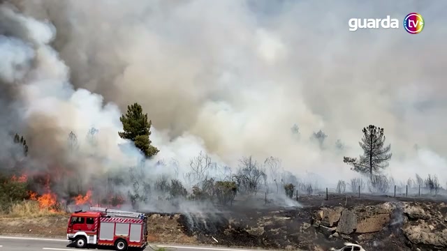 Autarquia investe mais de meio milhão de euros na proteção da floresta