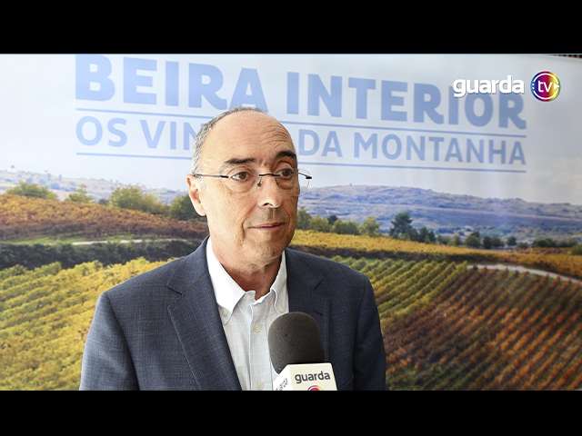 Guarda Wine Fest 2026: Dão reforça a importância da diversidade vitivinícola 